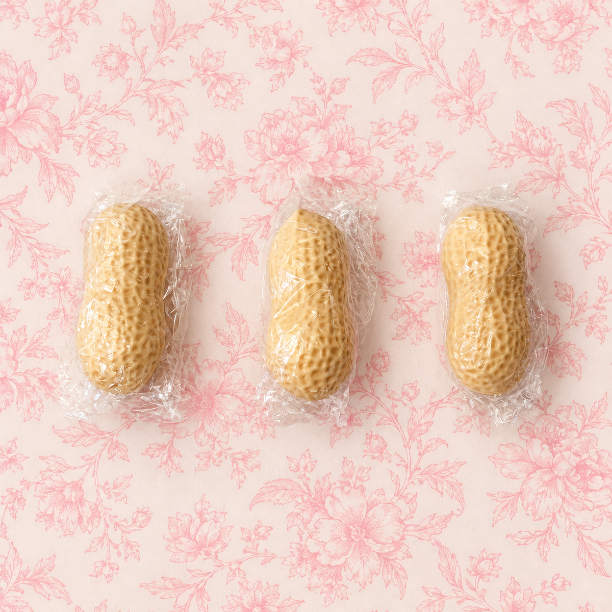 Crunchy Peanut Squishy