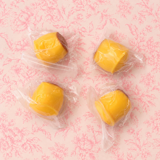 Crunchy Caramel Pudding Squishy